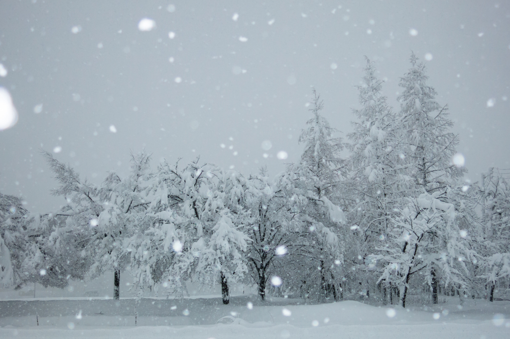 降雪