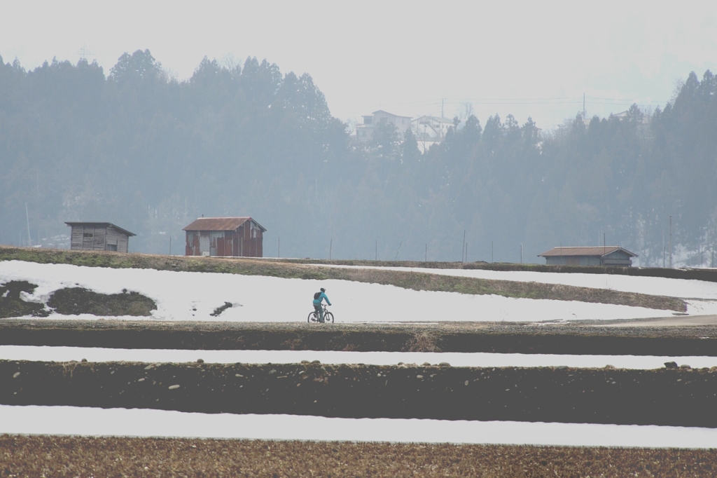 田舎道