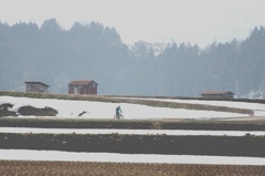 田舎道