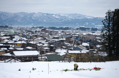 雪中大根