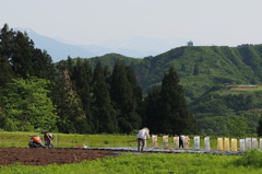里の春