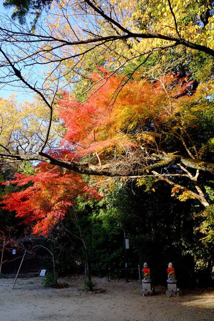 光明寺（京都・長岡京)⑤