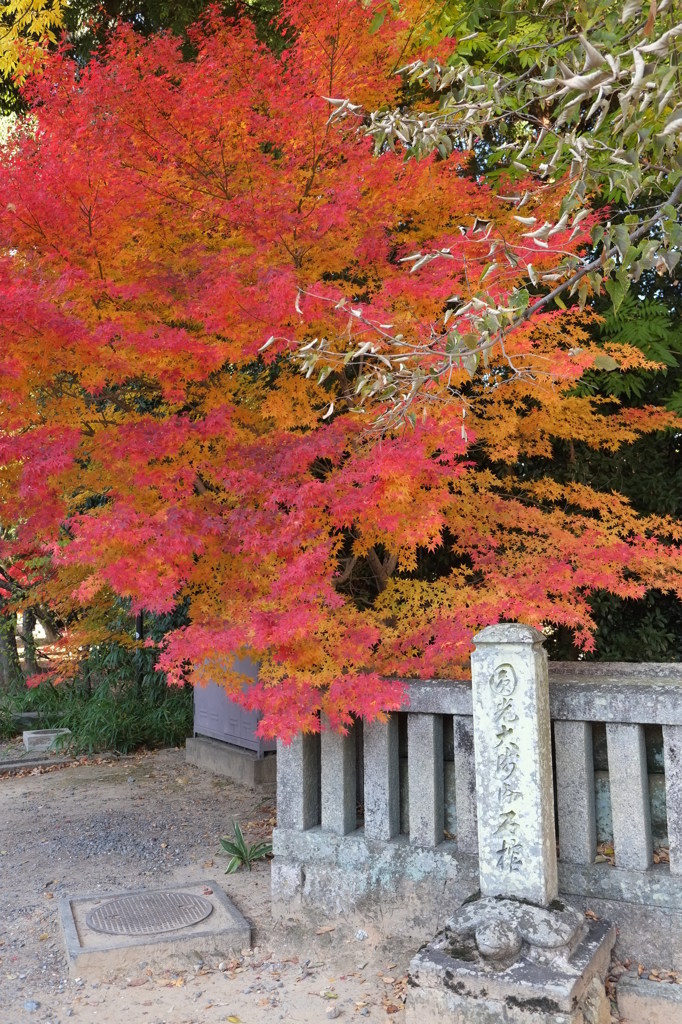 光明寺（京都・長岡京)④