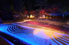 京都・高台寺（夜間ライトアップ)②