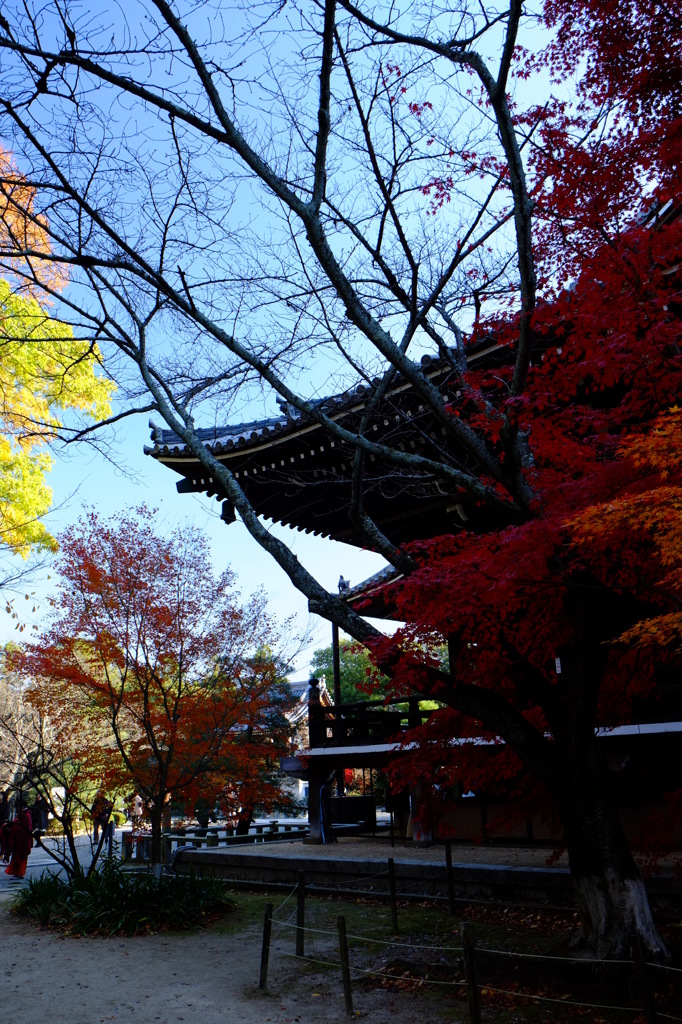 光明寺（京都・長岡京)⑥