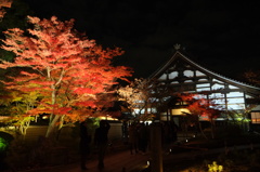 京都・高台寺（夜間ライトアップ)①