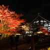 京都・高台寺（夜間ライトアップ)①