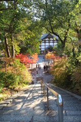 光明寺（京都・長岡京)③