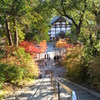 光明寺（京都・長岡京)③