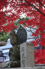 光明寺（京都・長岡京)⑧