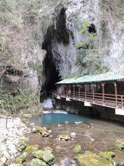 DSCN0138