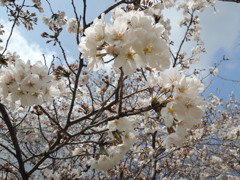 DSCN0109