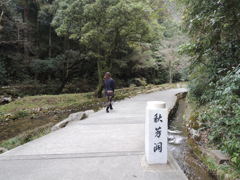DSCN0137