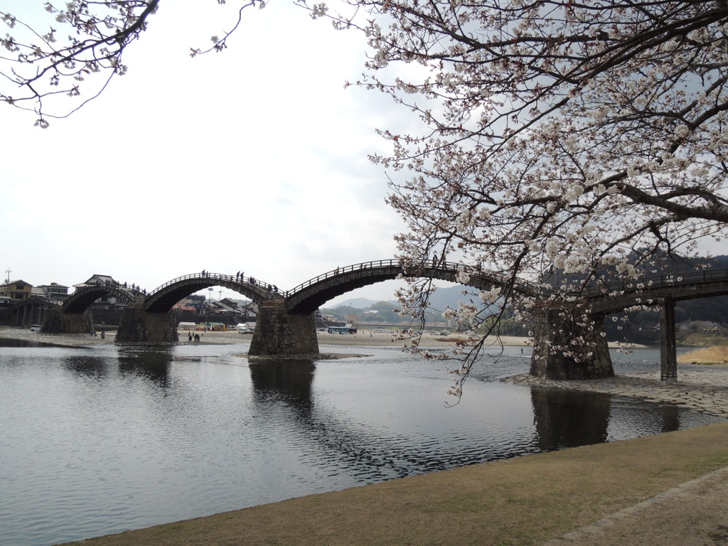 DSCN0115
