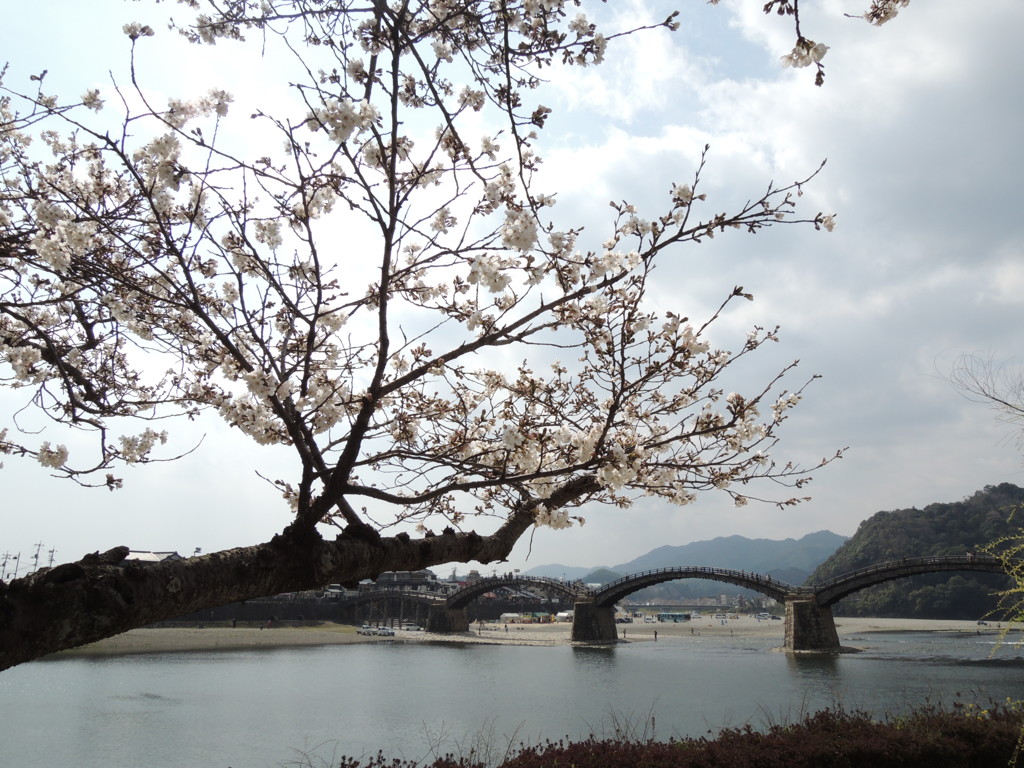 DSCN0114