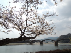 DSCN0114