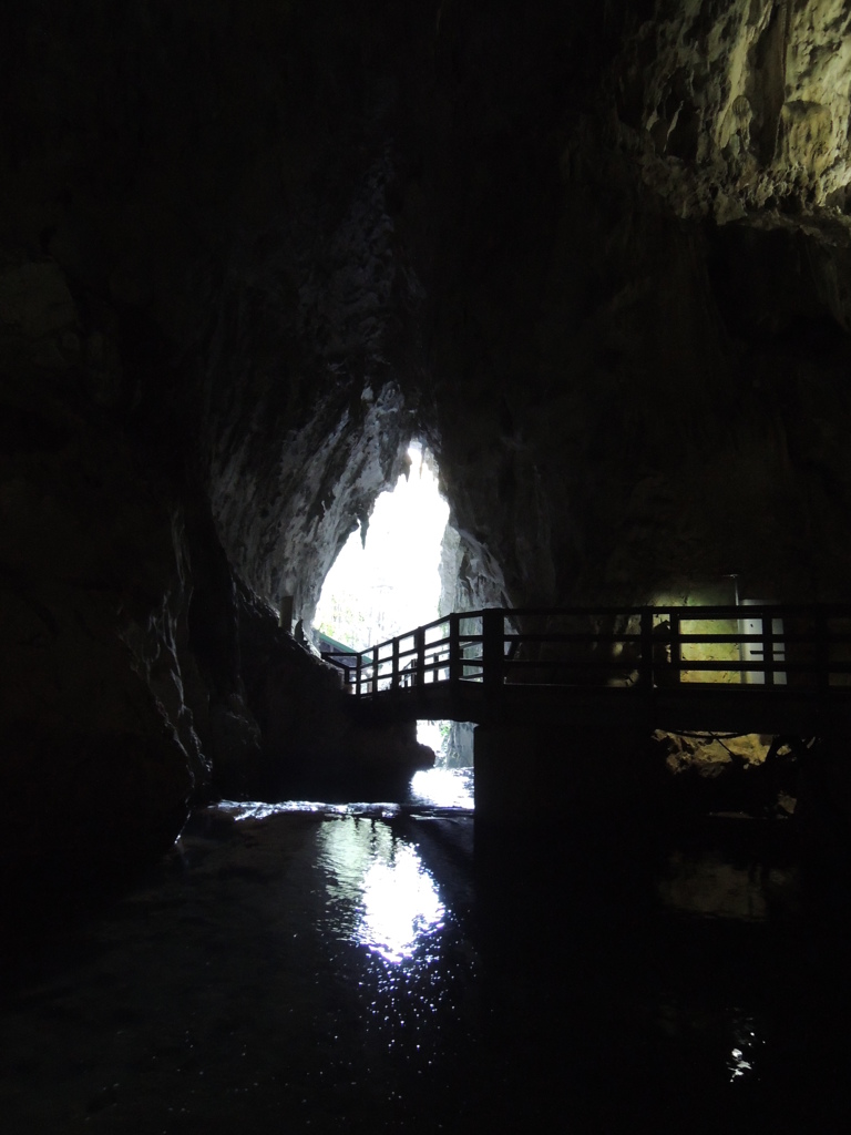 DSCN0181