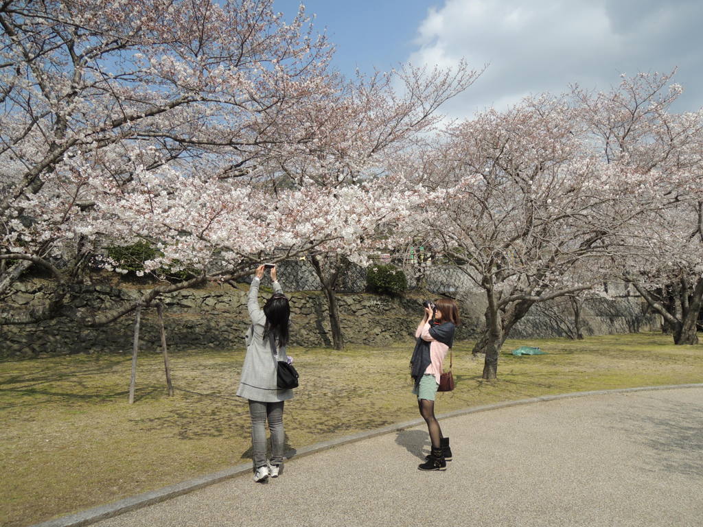DSCN0112