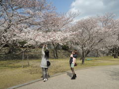 DSCN0112