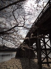 DSCN0117