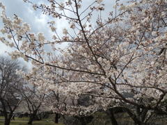 DSCN0108