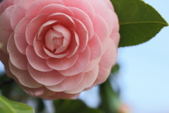 はじめまして。