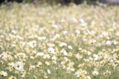 君は思い出の中