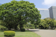 独り占め