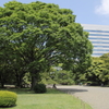 独り占め