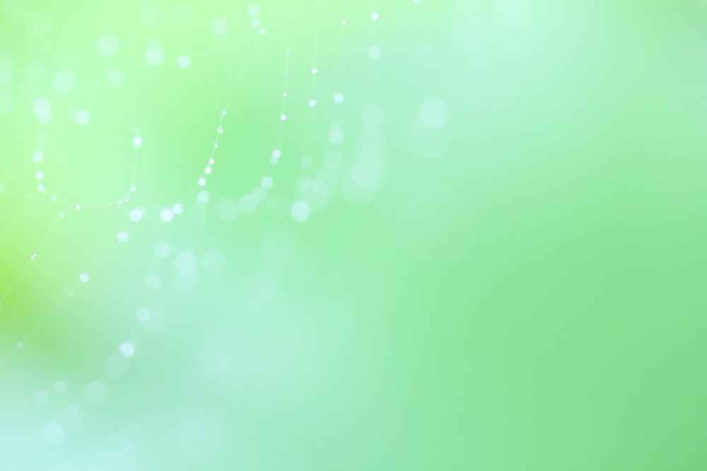 星のかけらを集めた地図で。