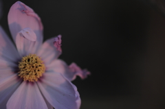 愛が足りない人へ