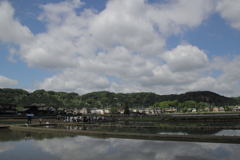 田植え日和