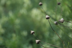 指さし確認