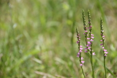 二十年後の未来
