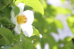 夏まで待てない