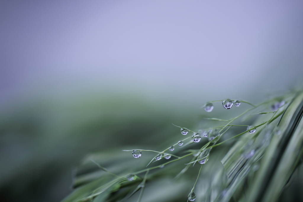 September　rain