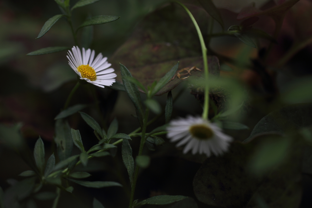 すれ違っても。