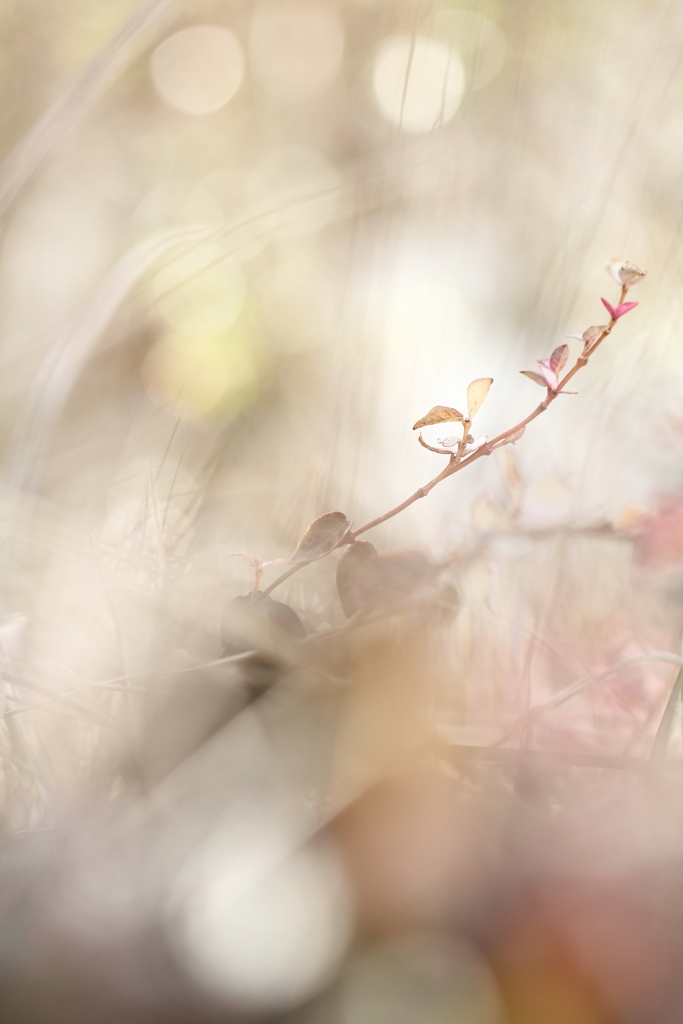 木漏れ日の中で
