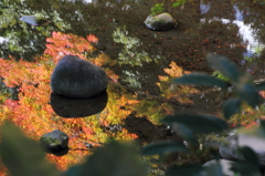 次の一手