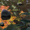 次の一手