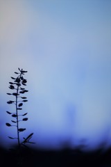 時を超えて