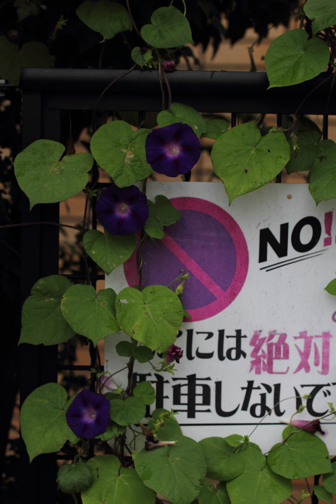 Non Stopで行こう!!