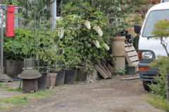 大和魂
