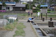 あれだよ