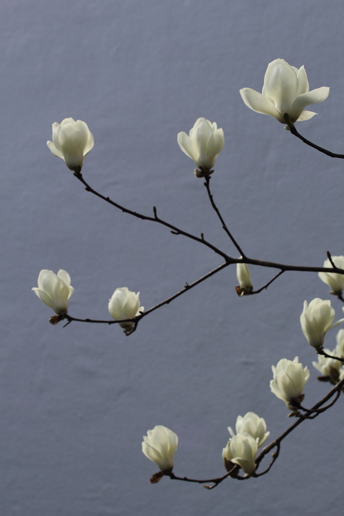 無垢なままで。