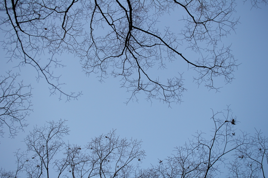 空の道便り