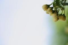 空まであと少し