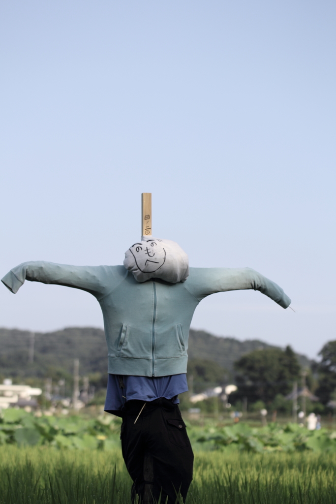 ただしいなつのかたち