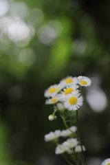 木陰で遊ぼ。