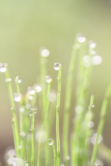 朝が生まれたよ